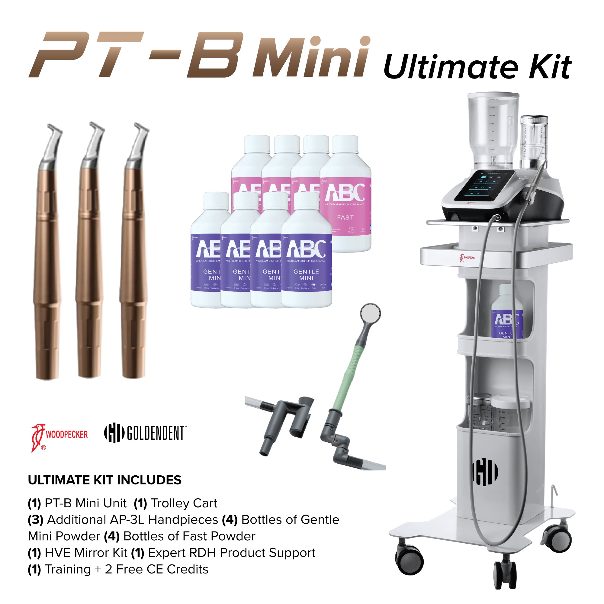 Woodpecker PT-B Mini Ultimate Kit contents - Woodpecker - GoldenDent